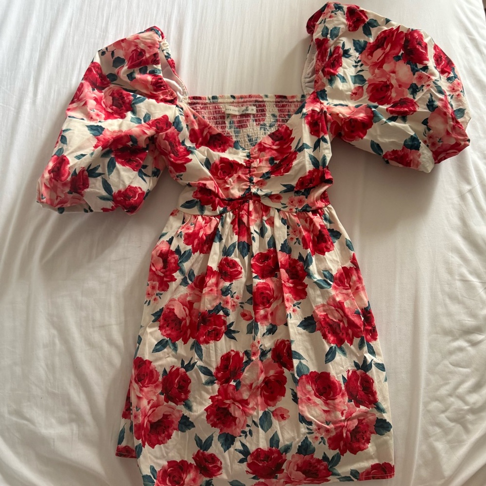Altar’d State Cyndella Floral Rose Mini Dress | Floral Puff Sleeve Dress Size XS